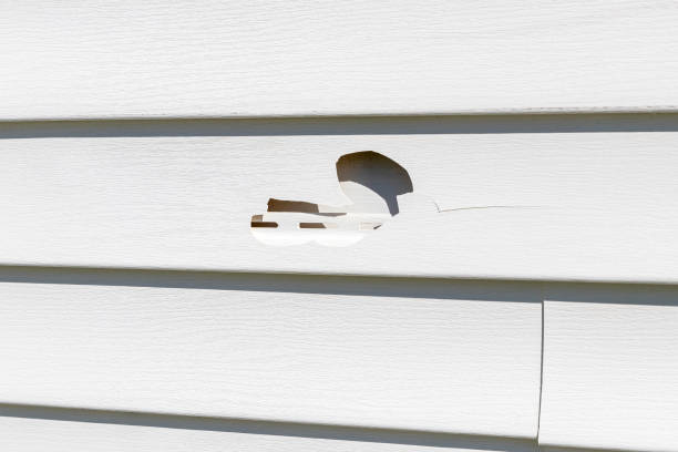 Best Siding Removal and Disposal  in Narragansett Pier, RI